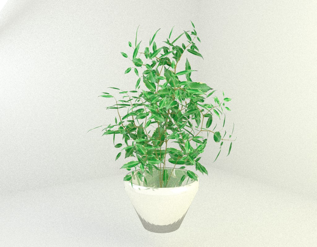 Ficus preview image 1